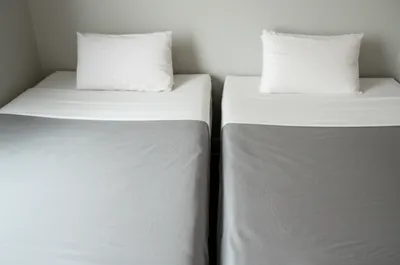 Illustration twins - Image 1