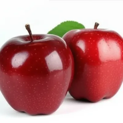 Illustration similarities