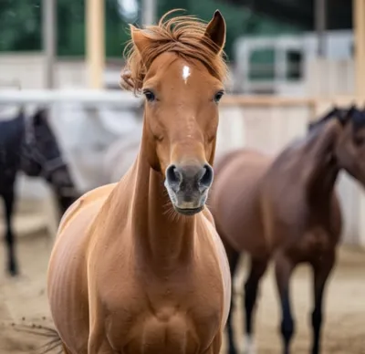 Illustration nappy - Image 1