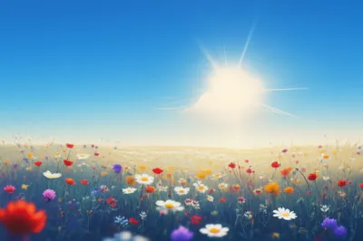 Illustration fairest - Image 1