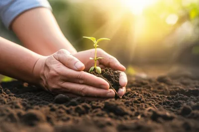 Illustration nurturing - Image 1