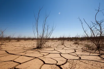 Illustration uncropped - Image 1