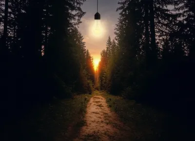 Illustration idea - Image 1