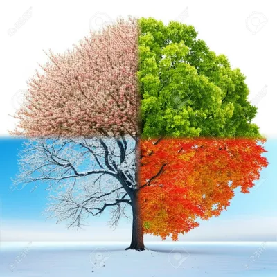 Illustration seasonally