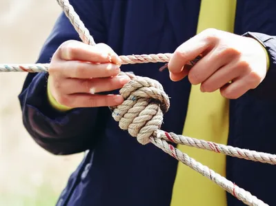 Illustration absolve - Image 1