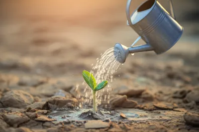 Illustration soothe - Image 1