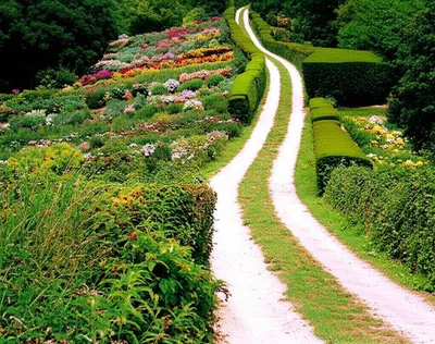 Illustration conduce