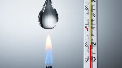 Illustration calories - Image 1