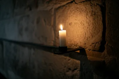 Illustration perch - Image 1