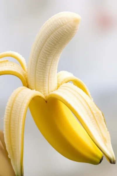 Illustration butts - Image 1