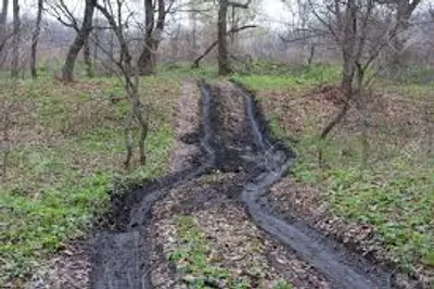 Illustration rut - Image 2