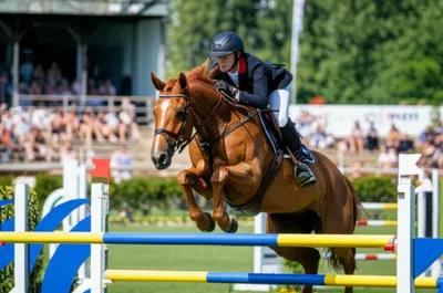 Illustration jumps - Image 1