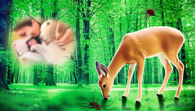 Illustration reservoirs - Image 1