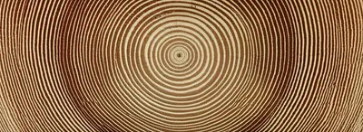 Illustration deepen - Image 1