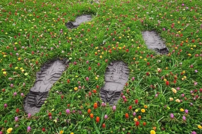 Illustration trucked - Image 1