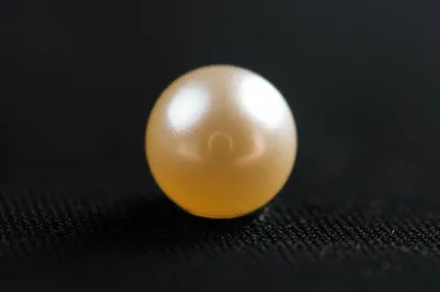 Illustration pearl - Image 1