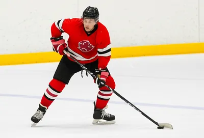 Illustration forward - Image 1