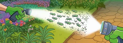 Illustration exterminates