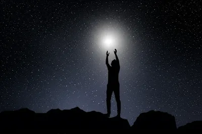 Illustration solicit - Image 1