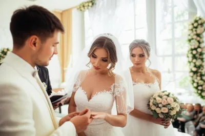 Illustration seal - Image 1