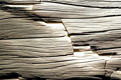 Illustration slats - Image 1