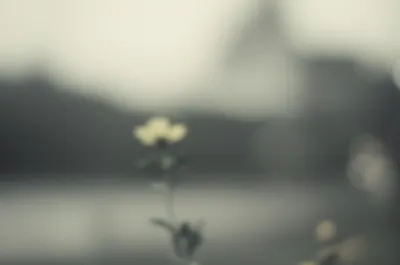 Illustration dullest - Image 1