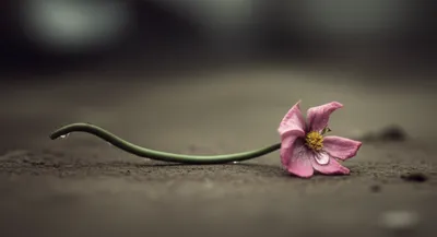 Illustration miscarrying - Image 1