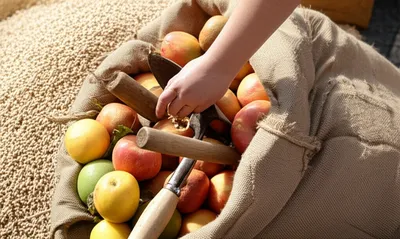 Illustration sacked - Image 1