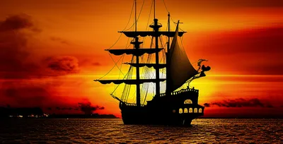 Illustration freebooted