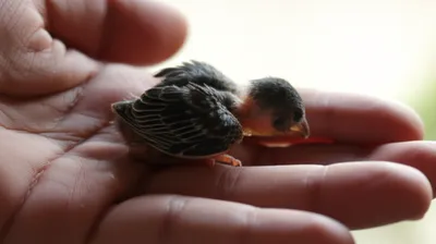 Illustration moved - Image 1