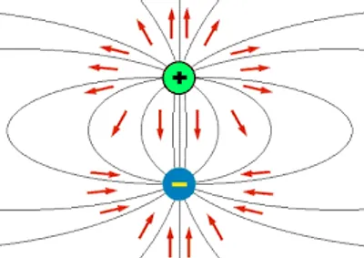 Illustration polarity - Image 2