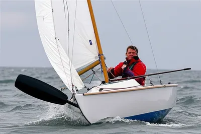 Illustration gripe - Image 1