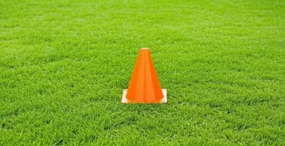 Illustration jarred - Image 1