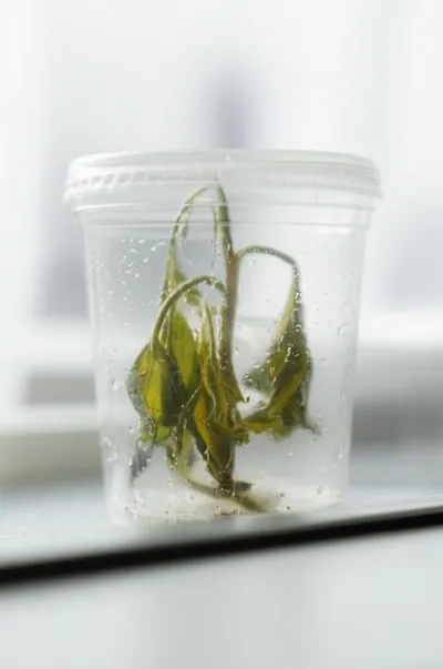 Illustration airless - Image 1