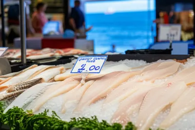 Illustration gummy - Image 1