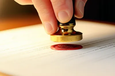 Illustration confirmed - Image 1