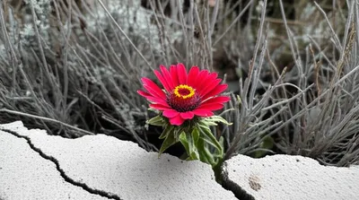 Hình ảnh minh họa prevails - Ảnh 1