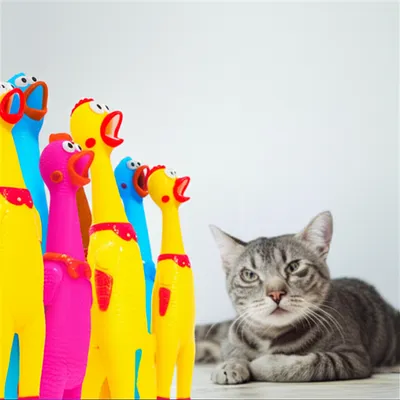 Illustration inanities - Image 1