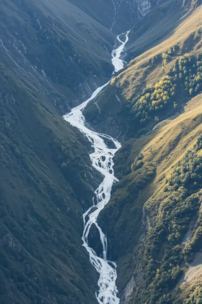 Illustration acyclic - Image 1