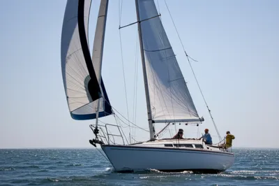 Illustration luff - Image 1