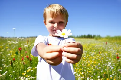 Illustration innocent - Image 1