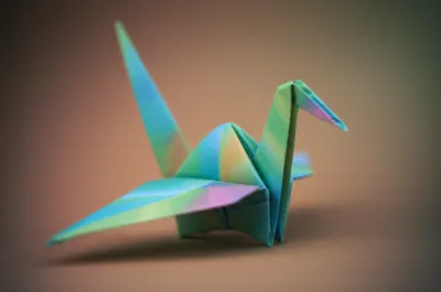 Illustration folds - Image 1