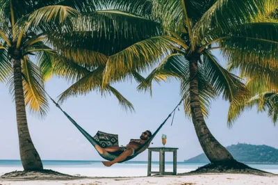 Illustration idles - Image 1