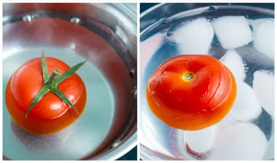 Illustration slips - Image 1