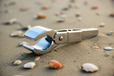 Illustration clam - Image 1