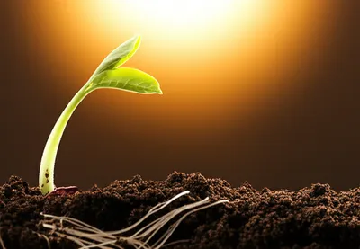 Illustration kindle - Image 1