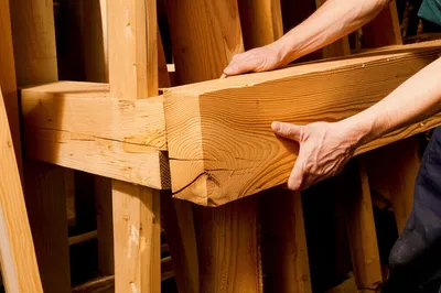 Illustration timbering