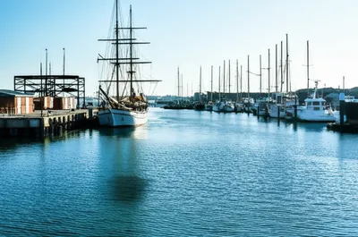 Illustration doubt - Image 1