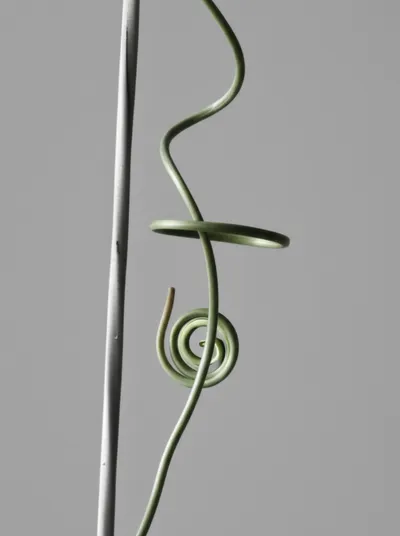 Illustration tendril - Image 1