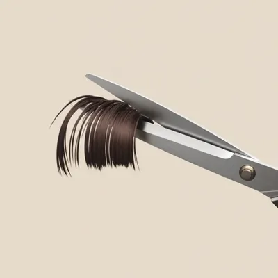 Illustration barb - Image 1